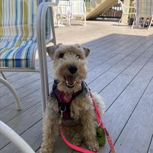 The Asylum restaurant view 8