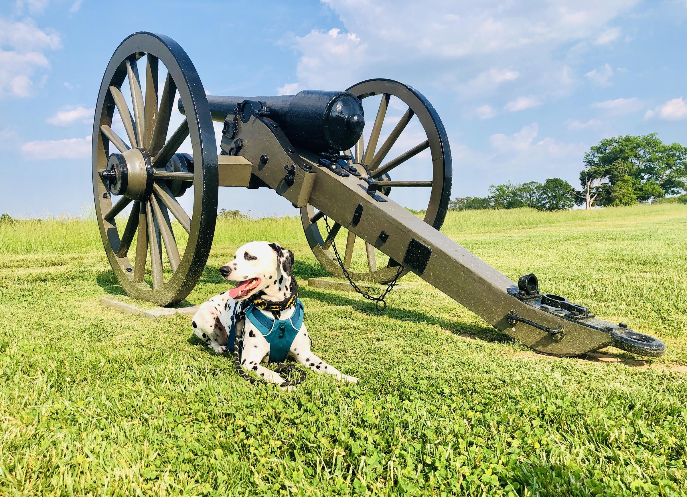 Pet Friendly Manassas National Battlefield Park