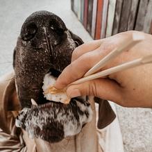 The Slippery Mermaid Sushi Bar restaurant view 1