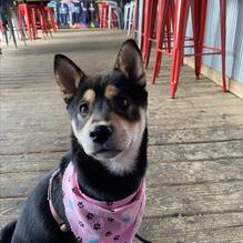 Zorbaz restaurant view 2