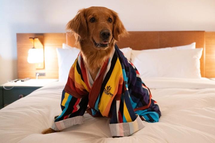 New Pet-Friendly Hotels: June 2021 New Pet-Friendly Hotels: June 2021