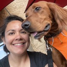 Fusion Japanese Steak House restaurant view 1