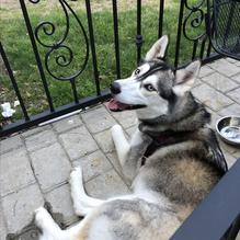 Harry's at the Harbor restaurant view 1