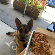 West End Tap & Kitchen restaurant view 1