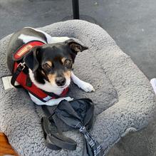 La Fiesta restaurant view 2