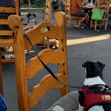 La Fiesta restaurant view 1