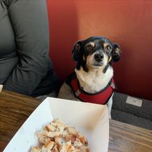 Barrelhouse 101 restaurant view 2