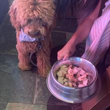 Fume restaurant view 1