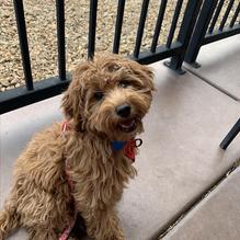 Rib & Chop House restaurant view 2