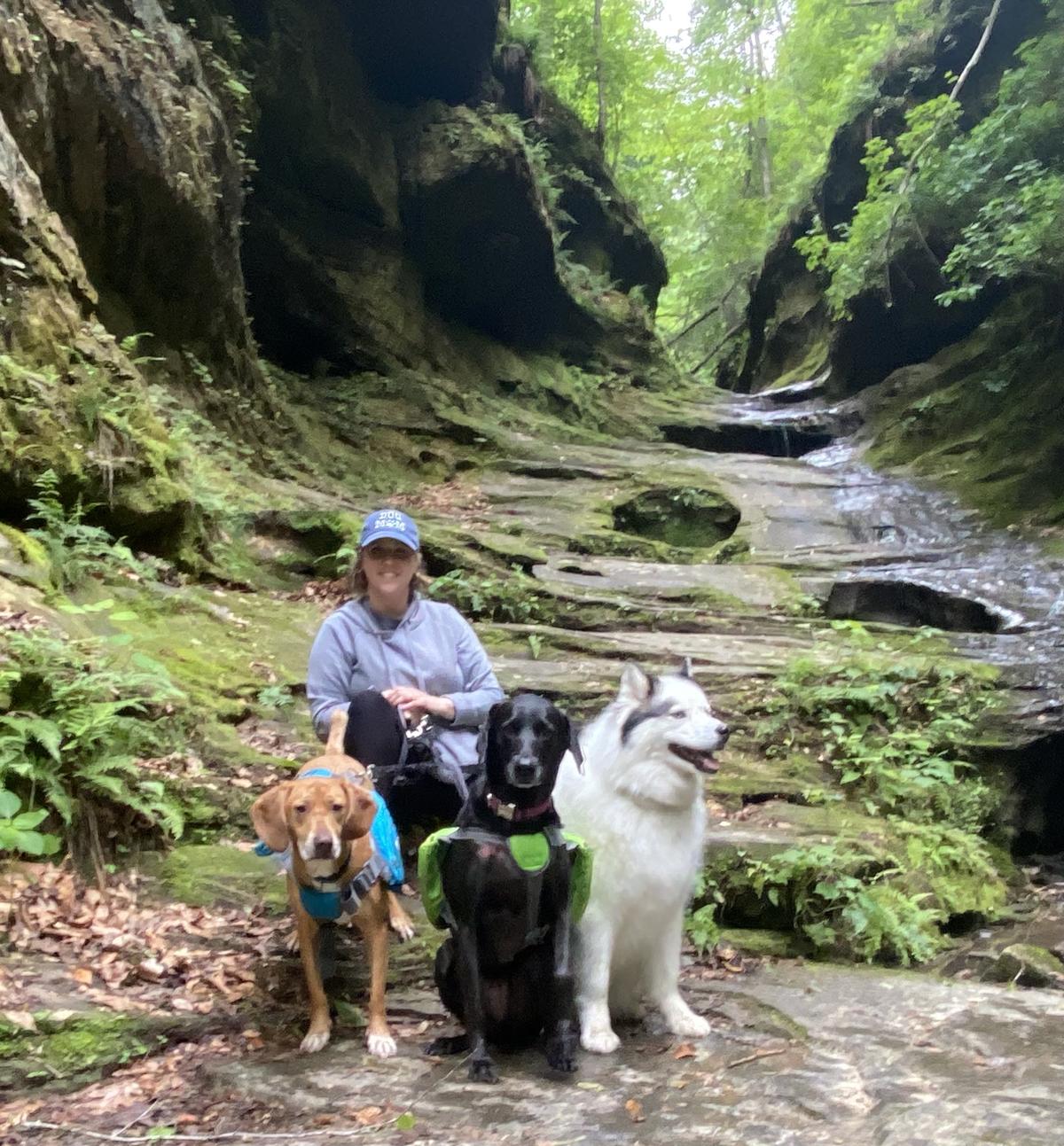 Dog friendly hikes grand canyon 2025