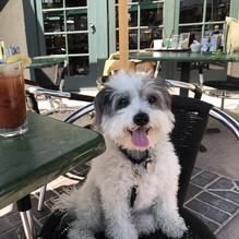 Hennessey's Tavern restaurant view 1