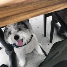 Hennessey's Tavern restaurant view 2