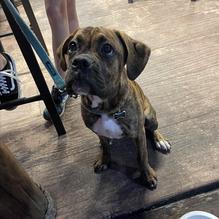 Marina Bar & Grill restaurant view 1