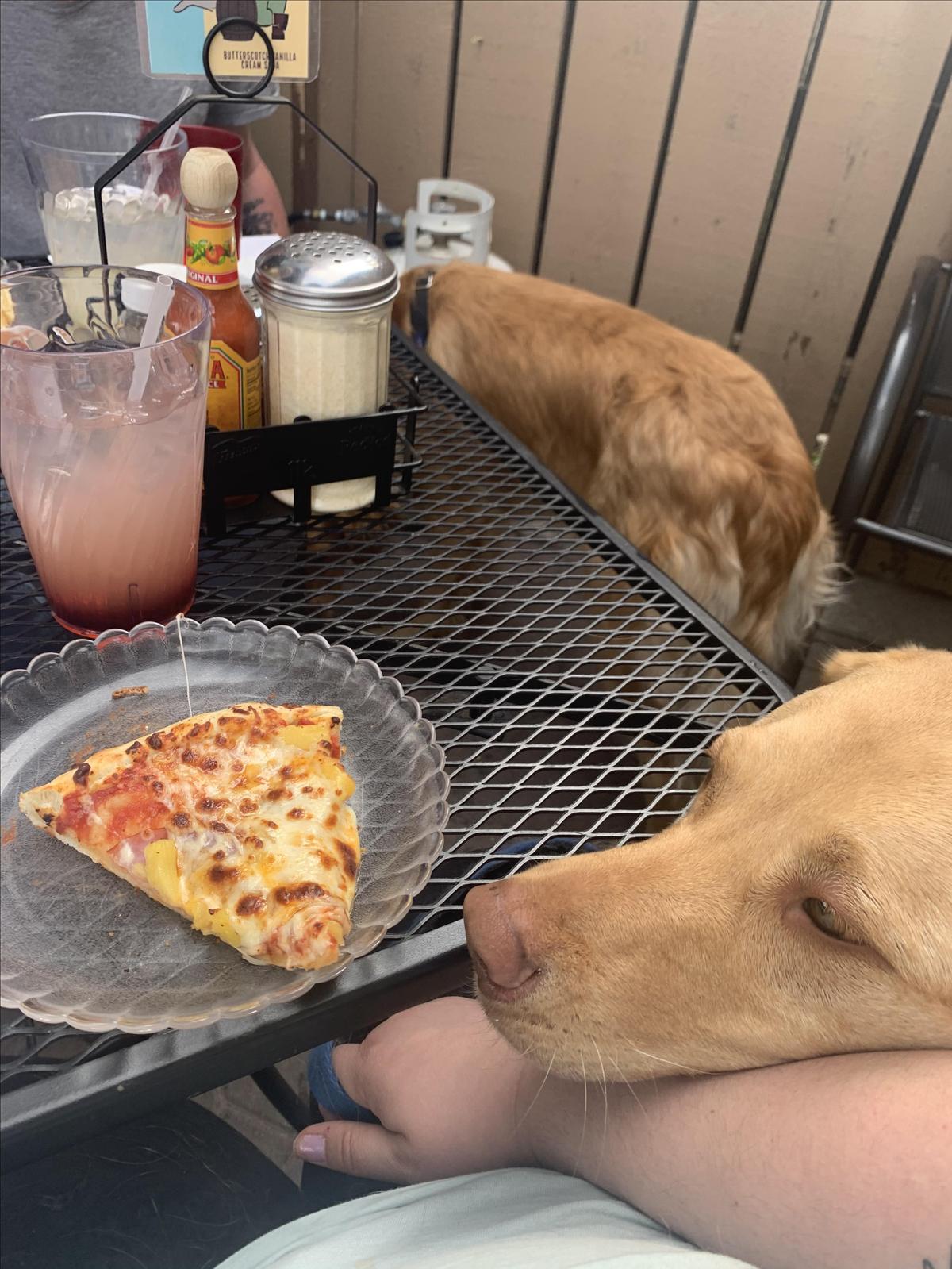 Pete's Rocky Mountain Pizza restaurant view 2