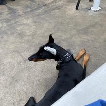 The Cliff restaurant view 4