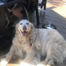 Market Street Inn restaurant view 2