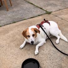 Creve Coeur Lakehouse Bar & Grill restaurant view 5