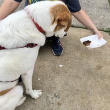 Creve Coeur Lakehouse Bar & Grill restaurant view 4