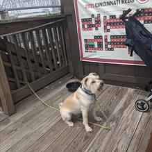 Hooters restaurant view 2