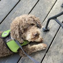 Hatch Taqueria & Tequilas restaurant view 5