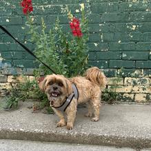 Tripel Root restaurant view 1