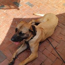 Rockafellas restaurant view 4