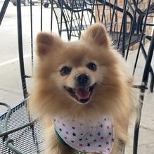 Taste of Chicago restaurant view 1