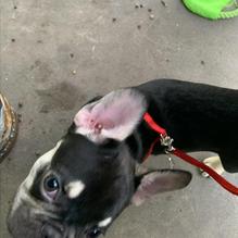 Angry Marlin Restaurant & Cool Water Bar restaurant view 1