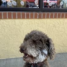 Coal Creek TAP restaurant view 1