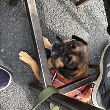 The Growler Guys restaurant view 2