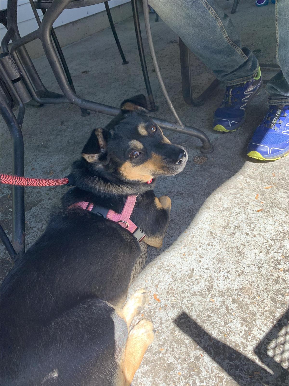 The Greenery Cafe restaurant view 2