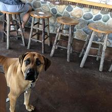 Twin Peaks Restaurant restaurant view 1