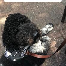 Square One Brewery & Distillery restaurant view 4