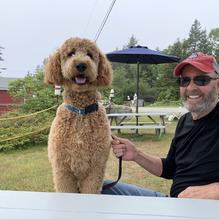 McLoons Lobster Shack restaurant view 1