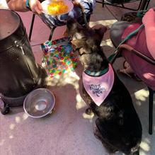 Plenty on Bell restaurant view 1