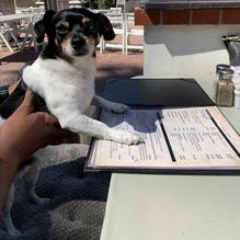 Buffalo Nickel Inc restaurant view 1