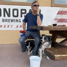 Tonopah Brewing Co. restaurant view 2