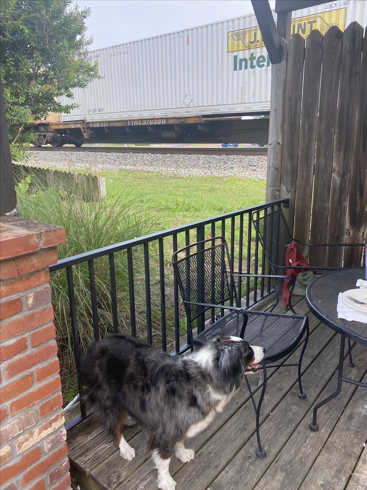 Pizza Grocery restaurant view 3