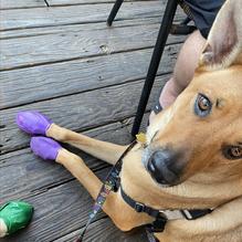 Castaways restaurant view 5