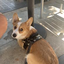 Glenn's Cafe restaurant view 2