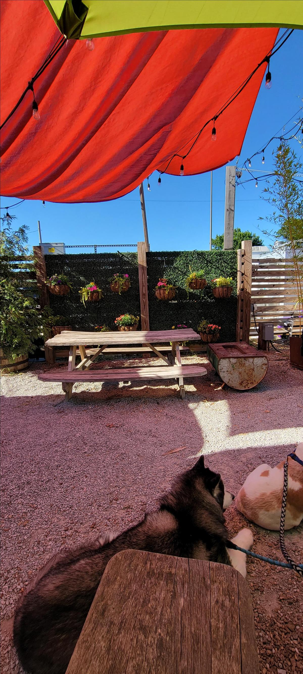 The Camp restaurant view 3