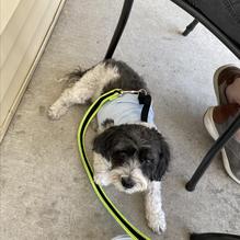 VI Grill restaurant view 2