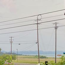 Italian Garden Restaurant restaurant view 2