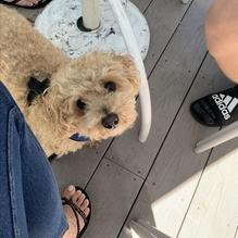 The Asylum restaurant view 7