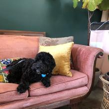 The Village Grind restaurant view 1