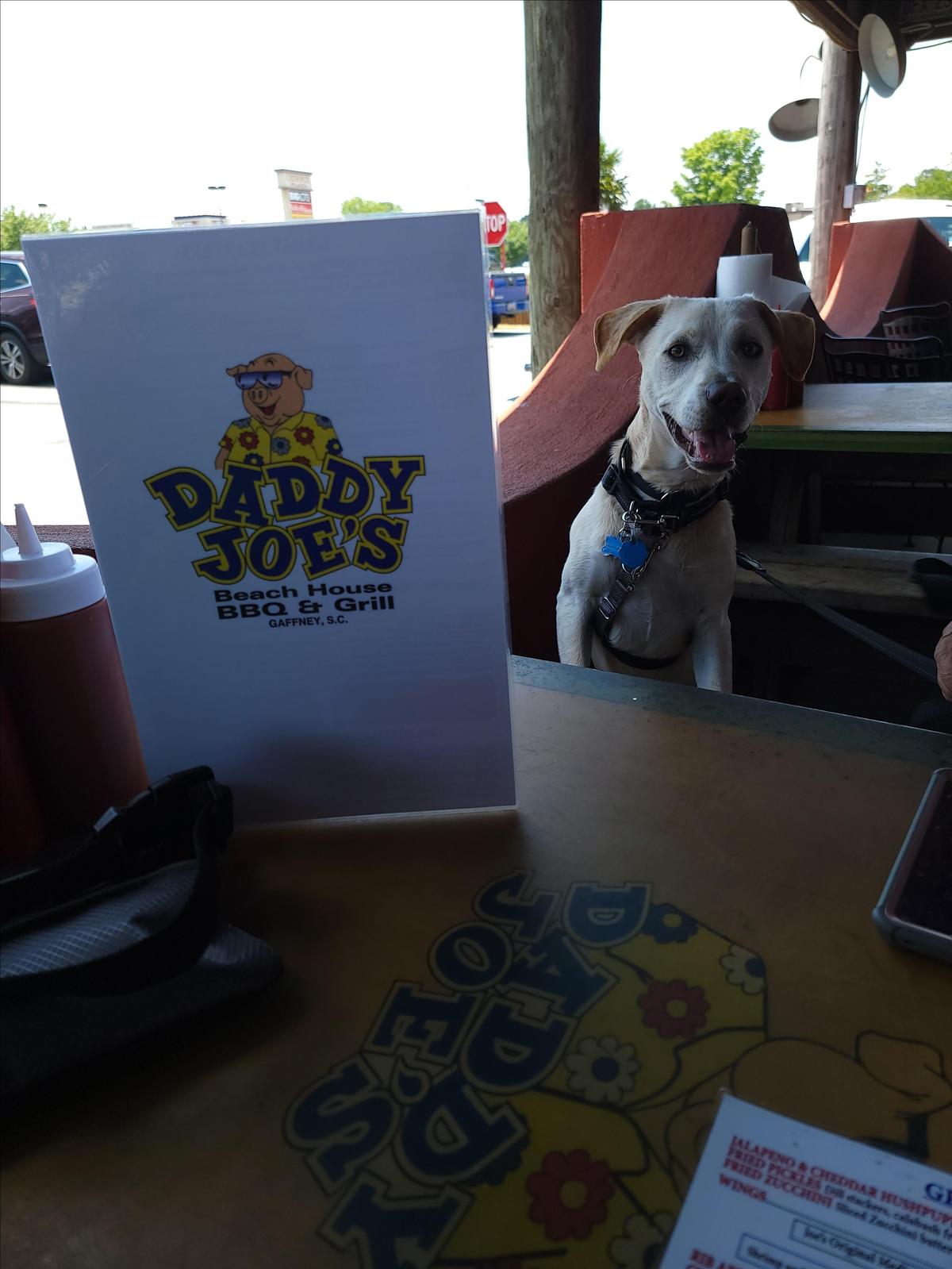 Daddy Joe's Beach House BBQ restaurant view 4
