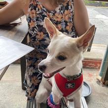 Grain Craft Bar + Kitchen restaurant view 9