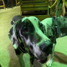 JByrd's Muddy Waters Restaurant & Raw Bar restaurant view 3