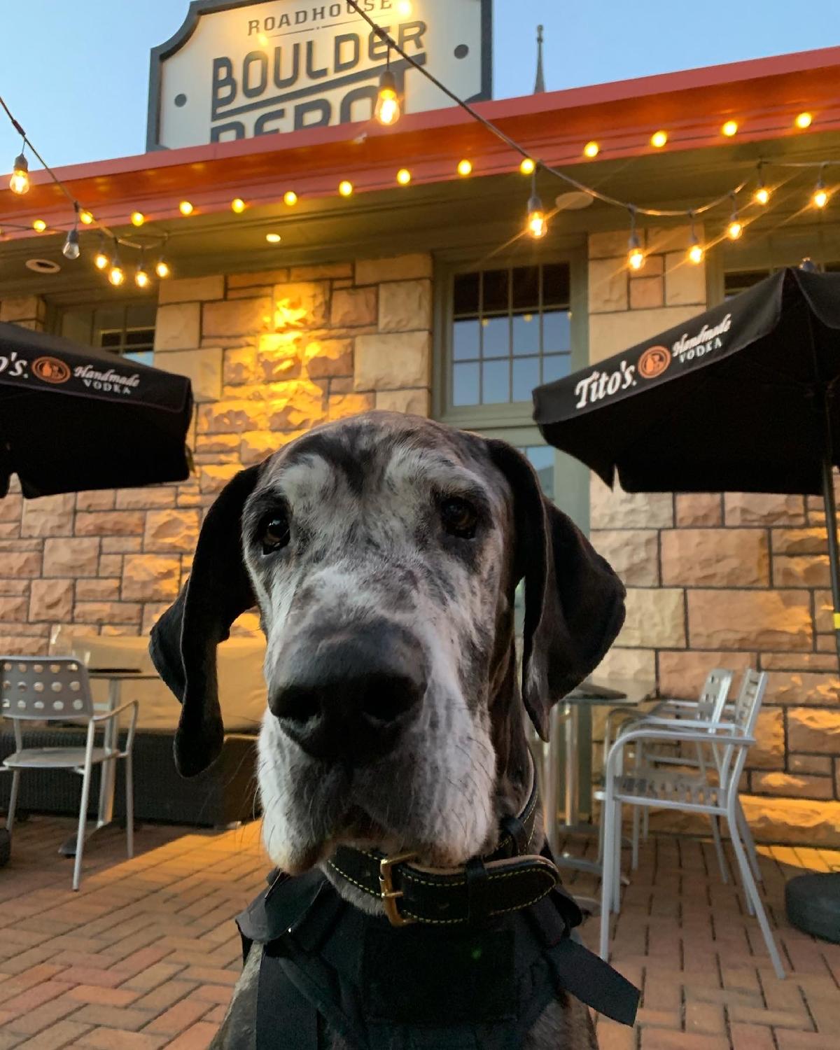 Roadhouse Boulder Depot restaurant view 2