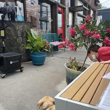 East Village Bohemian Pizzeria restaurant view 2